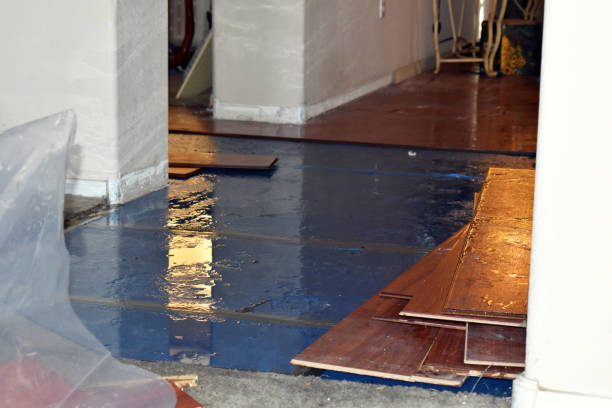 Professional Flood Cleanup technician working in Holualoa, HI